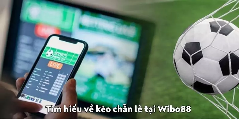 Bí quyết vào tiền kèo chẵn lẻ hiệu quả nhất tại Wibo88 Tìm hiểu về kèo chẵn lẻ tại Wibo88