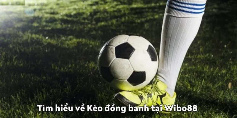 Hướng dẫn đọc kèo đồng banh chuẩn từ Wibo88 Kèo đồng banh